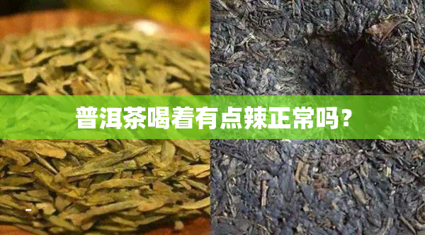 普洱茶喝着有点辣正常吗？