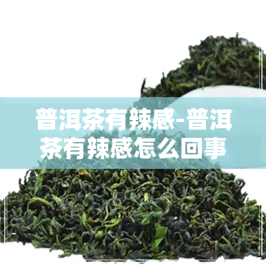 普洱茶有辣感-普洱茶有辣感怎么回事