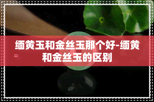 缅黄玉和金丝玉那个好-缅黄和金丝玉的区别