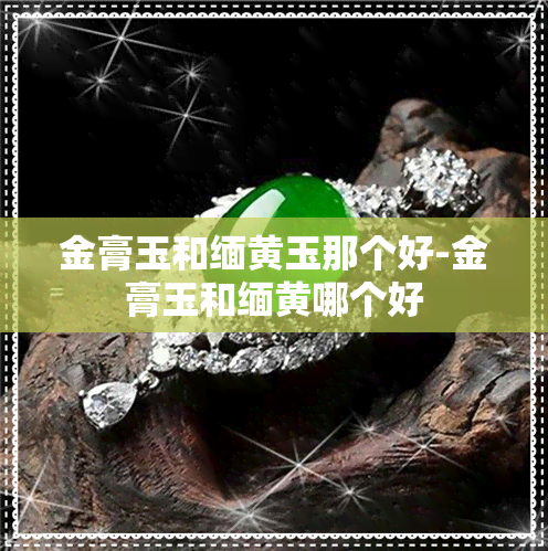 金膏玉和缅黄玉那个好-金膏玉和缅黄哪个好