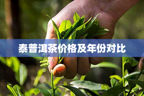 泰普洱茶价格及年份对比