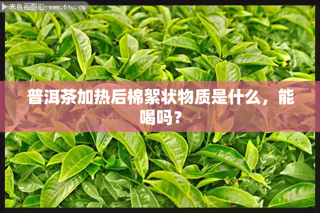 普洱茶加热后棉絮状物质是什么，能喝吗？