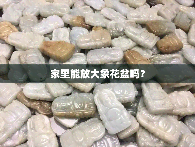 家里能放大象花盆吗？