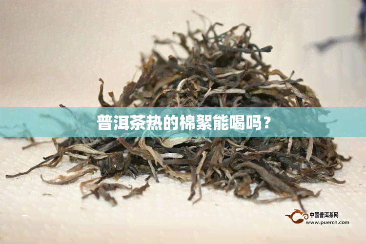 普洱茶热的棉絮能喝吗？