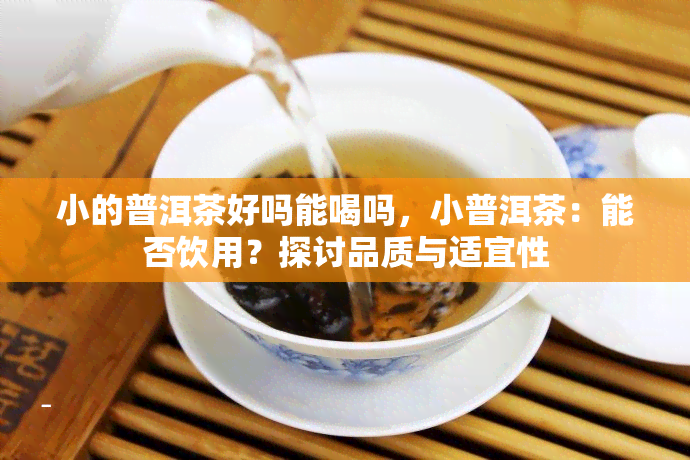 小的普洱茶好吗能喝吗，小普洱茶：能否饮用？探讨品质与适宜性