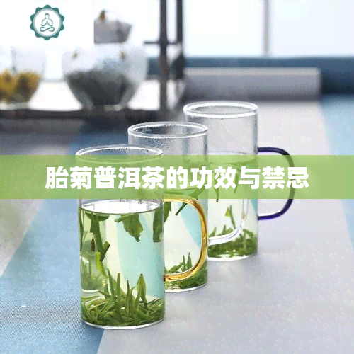 胎菊普洱茶的功效与禁忌