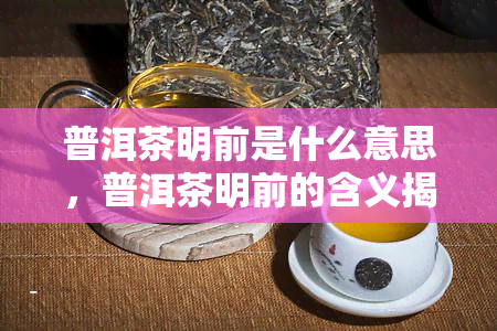 普洱茶明前是什么意思，普洱茶明前的含义揭秘：茶界隐秘的宝藏