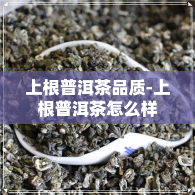 上根普洱茶品质-上根普洱茶怎么样