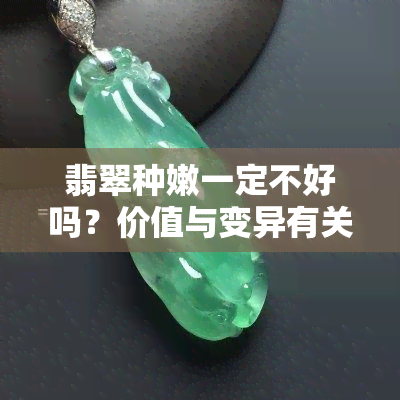 翡翠种嫩一定不好吗？价值与变异有关吗？