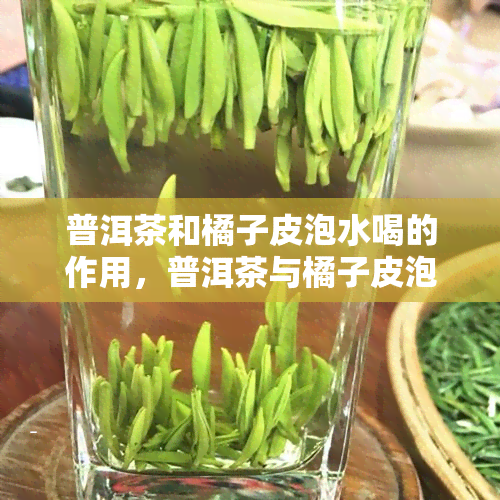 普洱茶和橘子皮泡水喝的作用，普洱茶与橘子皮泡水：健饮品的神奇功效揭秘