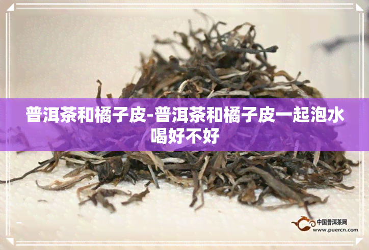 普洱茶和橘子皮-普洱茶和橘子皮一起泡水喝好不好