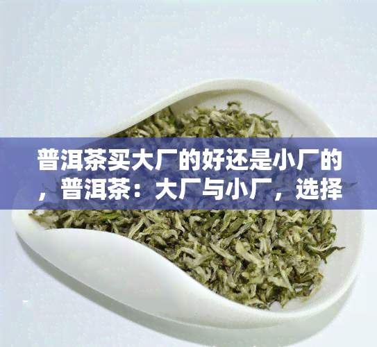 普洱茶买大厂的好还是小厂的，普洱茶：大厂与小厂，选择哪个更好？