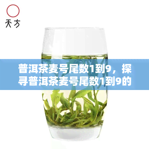 普洱茶麦号尾数1到9，探寻普洱茶麦号尾数1到9的奥秘：茶叶世界的数字之谜