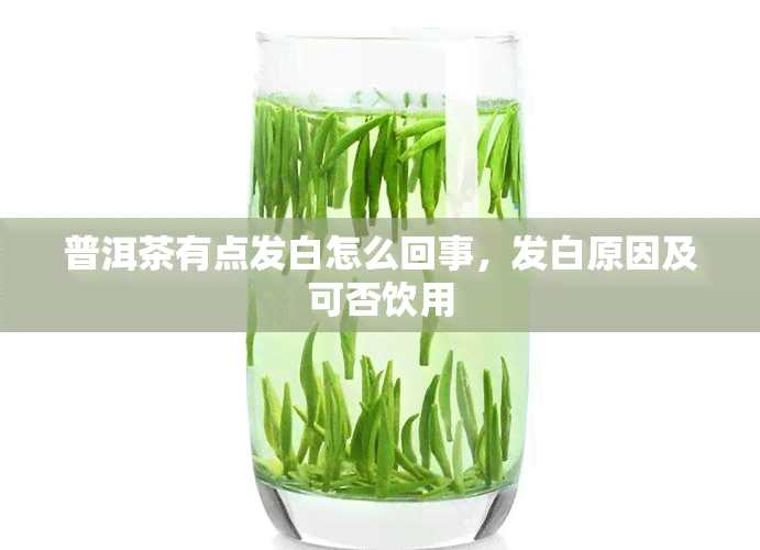 普洱茶有点发白怎么回事，发白原因及可否饮用