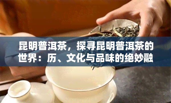 昆明普洱茶，探寻昆明普洱茶的世界：历、文化与品味的绝妙融合