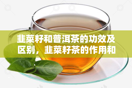 韭菜籽和普洱茶的功效及区别，韭菜籽茶的作用和喝法