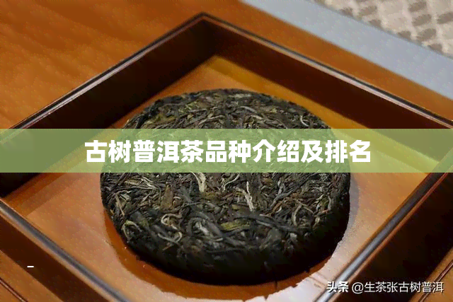 古树普洱茶品种介绍及排名