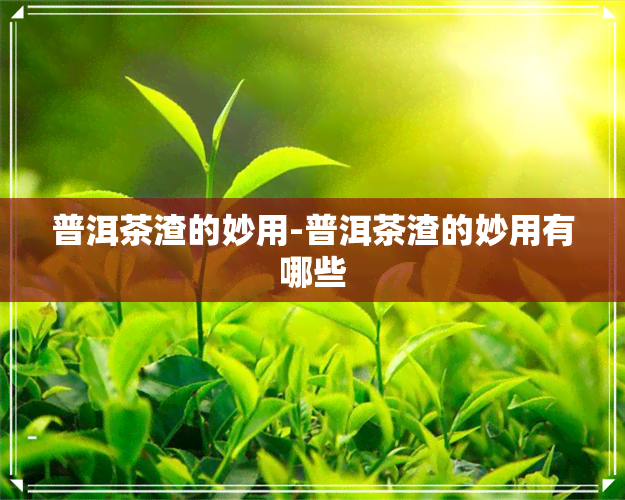 普洱茶渣的妙用-普洱茶渣的妙用有哪些