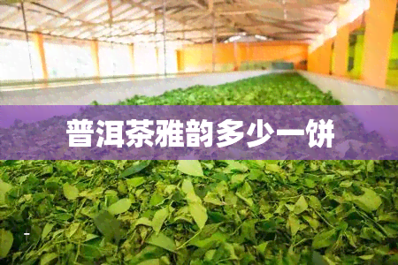 普洱茶雅韵多少一饼