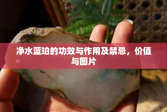 净水蓝珀的功效与作用及禁忌，价值与图片