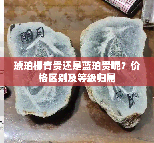 琥珀柳青贵还是蓝珀贵呢？价格区别及等级归属