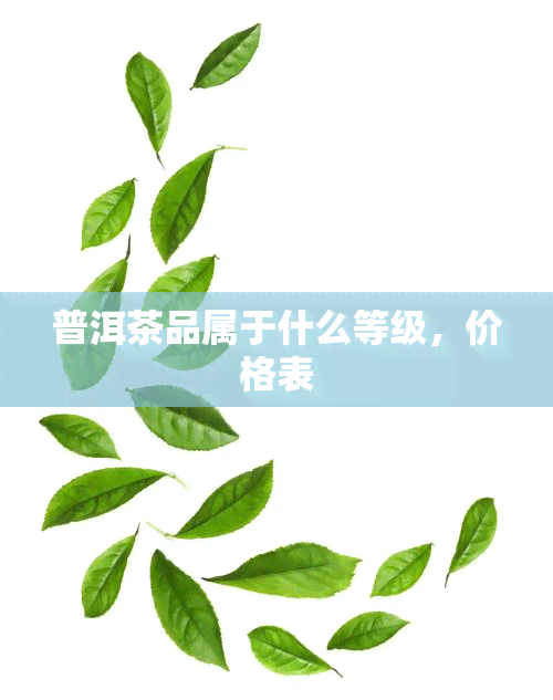 普洱茶品属于什么等级，价格表