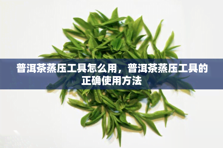 普洱茶蒸压工具怎么用，普洱茶蒸压工具的正确使用方法