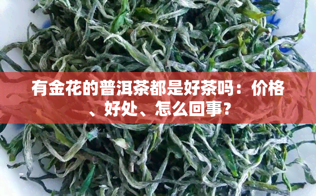 有金花的普洱茶都是好茶吗：价格、好处、怎么回事？