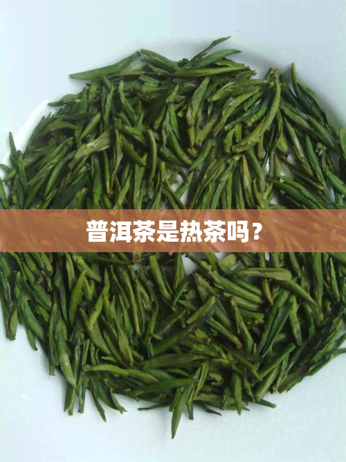 普洱茶是热茶吗？