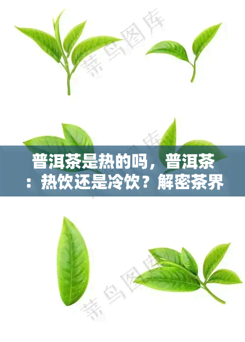 普洱茶是热的吗，普洱茶：热饮还是冷饮？解密茶界疑问