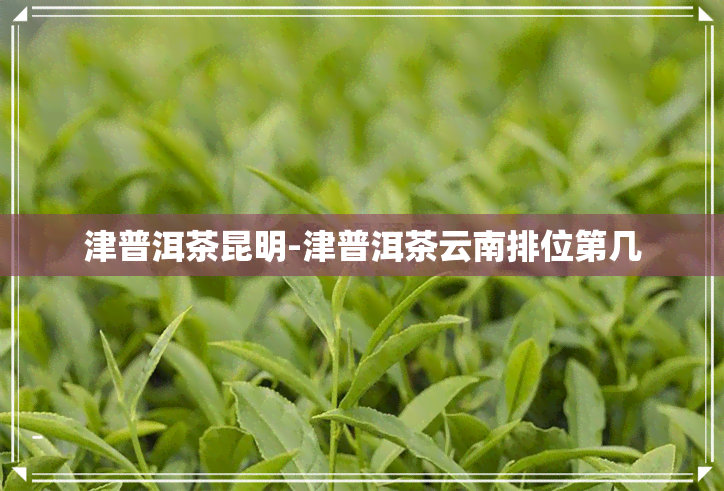 津普洱茶昆明-津普洱茶云南排位第几