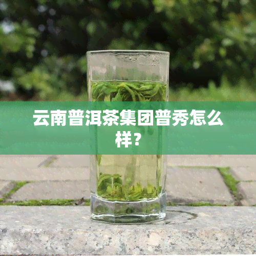 云南普洱茶集团普秀怎么样？