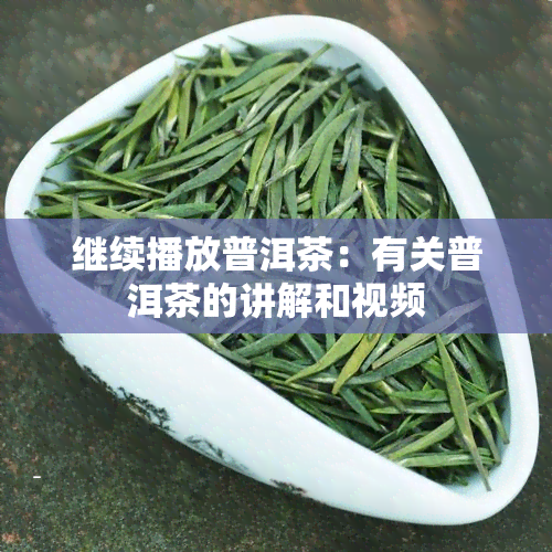 继续播放普洱茶：有关普洱茶的讲解和视频