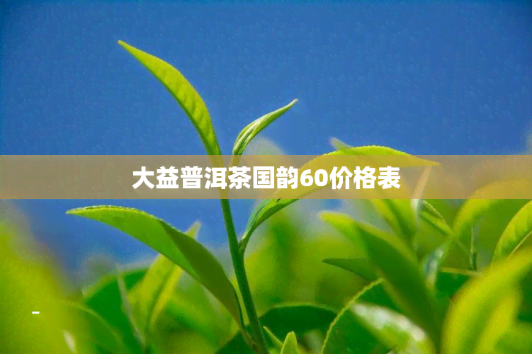 大益普洱茶国韵60价格表