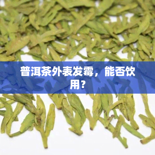 普洱茶外表发霉，能否饮用？