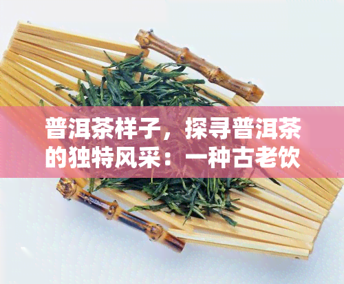 普洱茶样子，探寻普洱茶的独特风采：一种古老饮品的视觉魅力