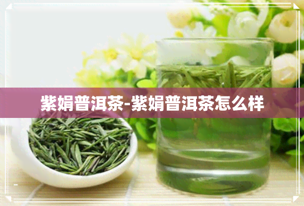 紫娟普洱茶-紫娟普洱茶怎么样