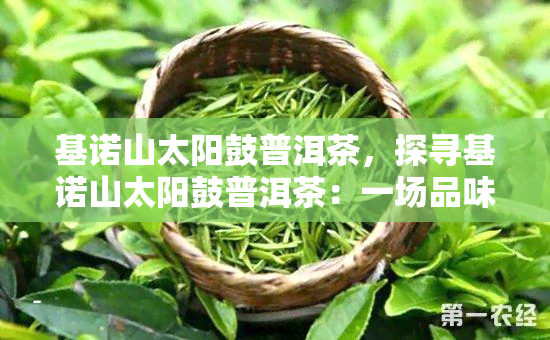 基诺山太阳鼓普洱茶，探寻基诺山太阳鼓普洱茶：一场品味与文化的奇妙之旅