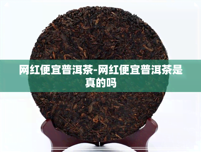 网红便宜普洱茶-网红便宜普洱茶是真的吗