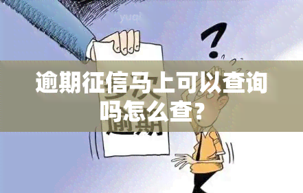 逾期马上可以查询吗怎么查？