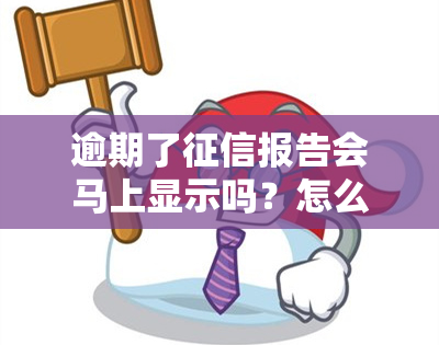 逾期了报告会马上显示吗？怎么办？