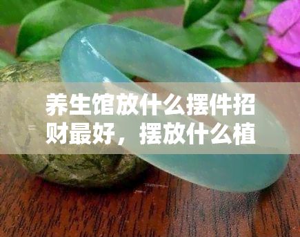 养生馆放什么摆件招财更好，摆放什么植物