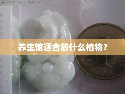 养生馆适合放什么植物？