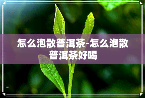 怎么泡散普洱茶-怎么泡散普洱茶好喝