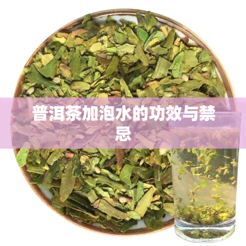 普洱茶加泡水的功效与禁忌