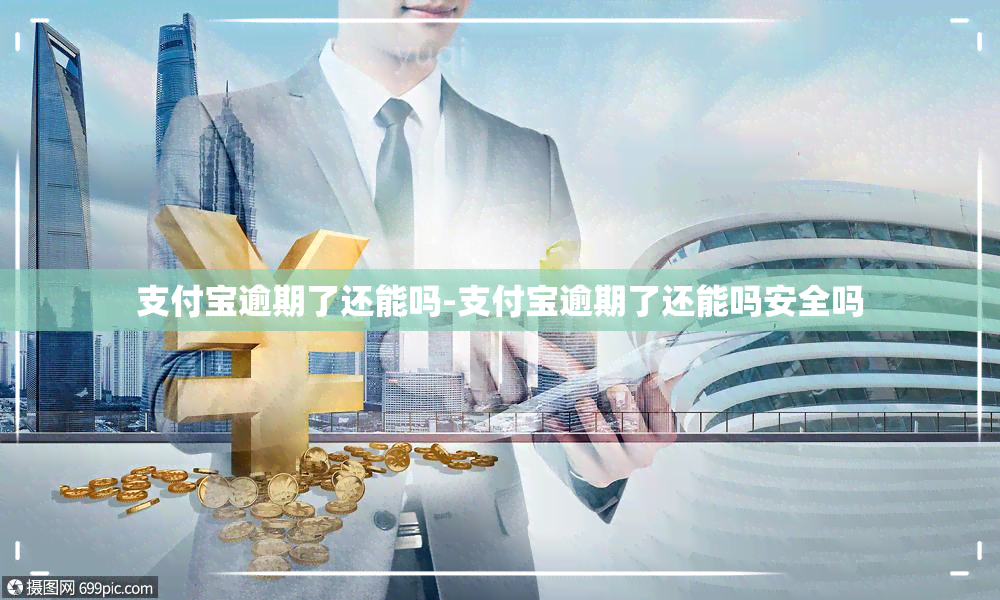 支付宝逾期了还能吗-支付宝逾期了还能吗安全吗