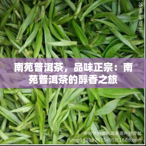 南苑普洱茶，品味正宗：南苑普洱茶的醇香之旅