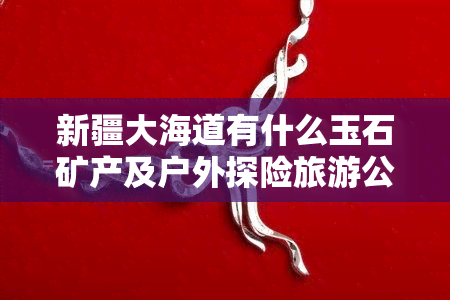 新疆大海道有什么玉石矿产及户外探险旅游公司