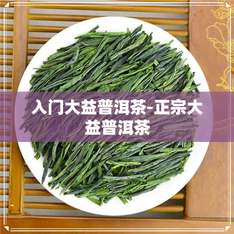 入门大益普洱茶-正宗大益普洱茶