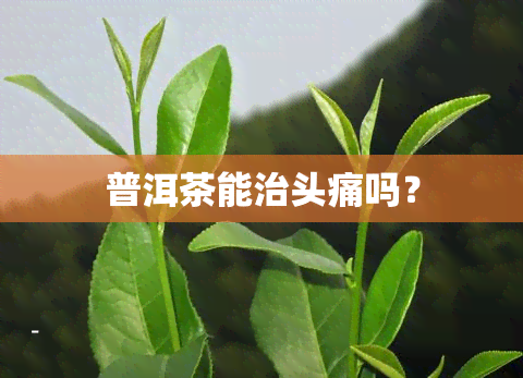 普洱茶能治头痛吗？